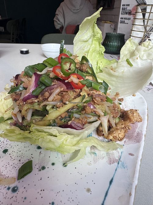 Starter   at YUBA  in Poznan