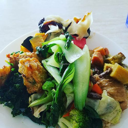 Bok choy, kale and vegan stir fry at Pepper Tree Veggie Cuisine in Houston