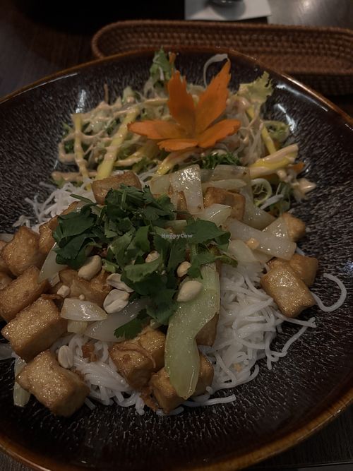 Bún trộn - Reisfadennudeln Bowl (Nr. 56)  at Thana Asia Restaurant in Luebeck