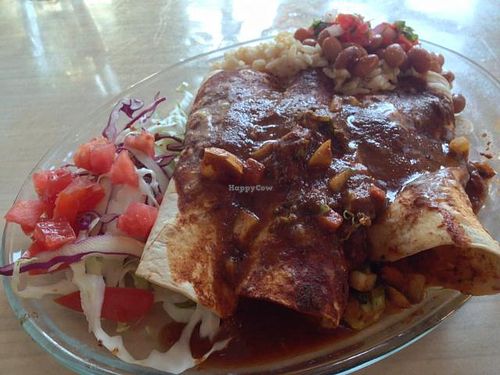 vegan enchiladas at FRESH Taqueria in Sanibel
