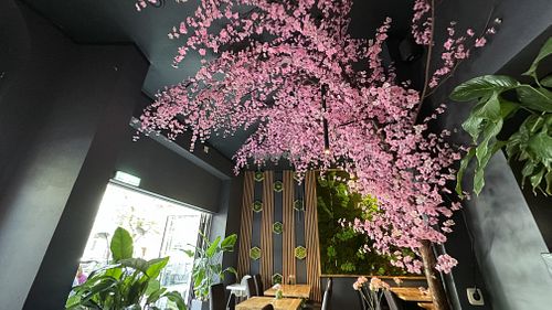   at NI-Vegan in Luebeck