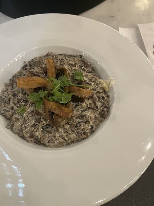 Mushroom extravaganza   at Ergo Restaurant  in Bucharest