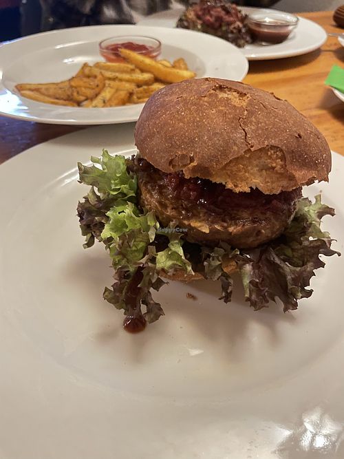 Vegan burger with Linda McCartney patty, caramelised onion and spicy salsa.  at Němý Medvěd in Melnik