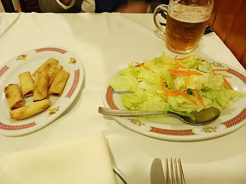 Rollitos y ensalada China (vegan spring rolls & lettuce, carrot & onion salad) at Internacional Chinese Restaurant in Altea