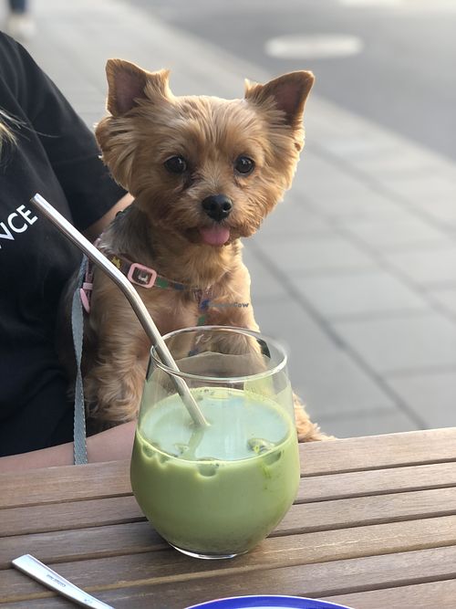   at KIRAS - PC Europa in Vilnius