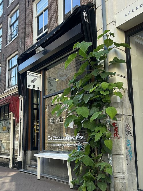   at De Pindakaaswinkel in Amsterdam