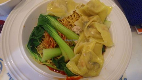 Dry noodles and dumplings at Veggie Cottage in Central Singapore