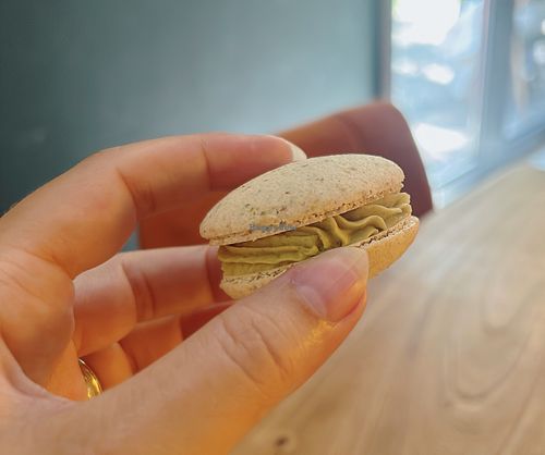 pistachio macaroon  at Olivka in Almaty