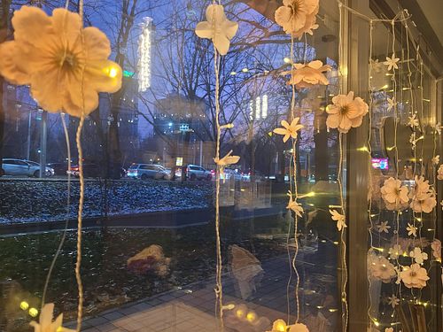 So cosy! And there was even a cat! at Olivka in Almaty