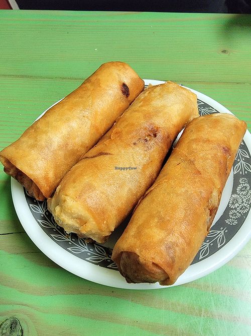 Egg Rolls at Van Hanh Restaurant in Portland