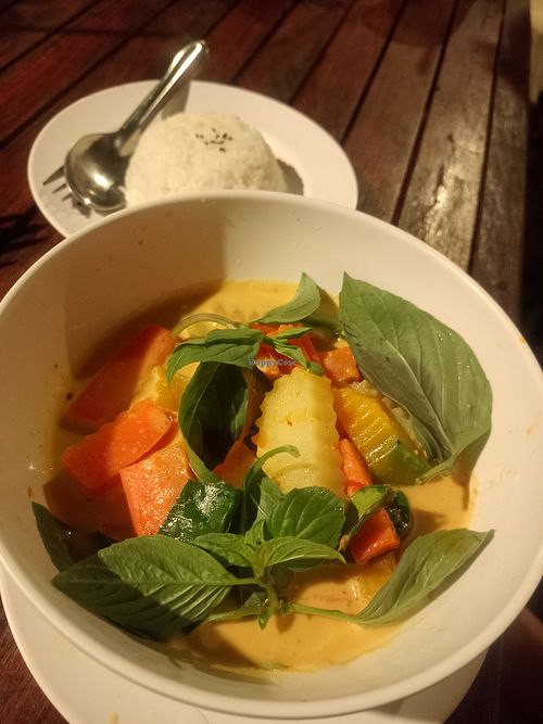 Red curry vegan at JJ Resort & Restaurant in Koh Phayam