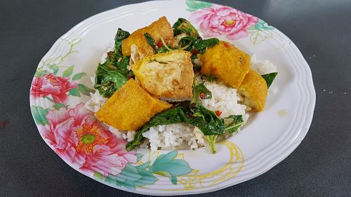Fried tofu, basil and rice at Lee Jae Veg in Bangkok