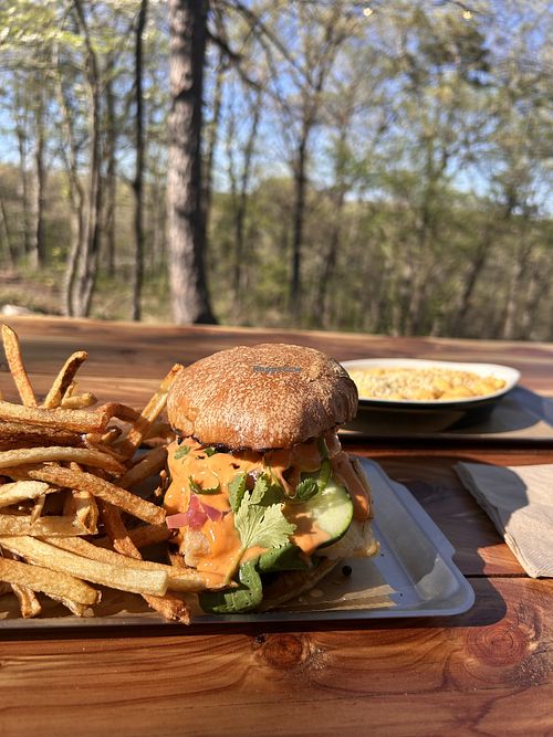   at Bombadil's Cafe in Eureka Springs