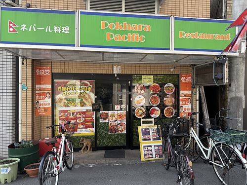   at Pokhara Pacific - ポカラパシフィック  in Osaka