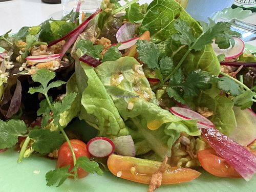 Salad with cilantro   at F LIFE  in Veldhoven