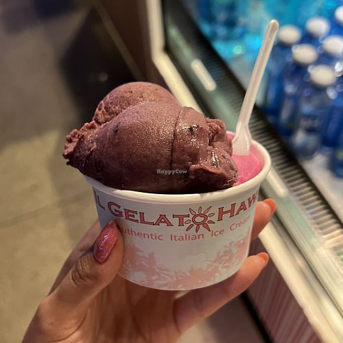 açaí and lychee dragonfruit  at Il Gelato Hawaii in Honolulu