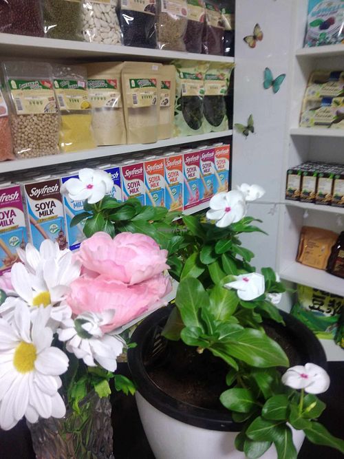  at Peace Vegan Cafe in Choibalsan