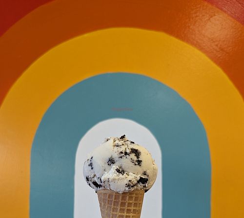 Double Vanilla Cookies + Cream at Luna's Ice Cream in Milwaukie