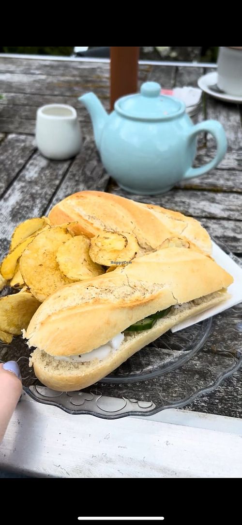   at Braxton Gardens and Tea Rooms in Lymington