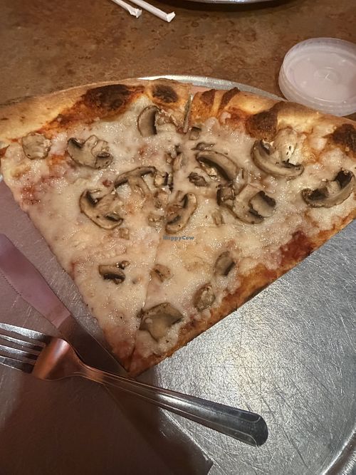 Vegan cheese pizza slices w/ mushrooms  at Moon River Pizza in Jacksonville