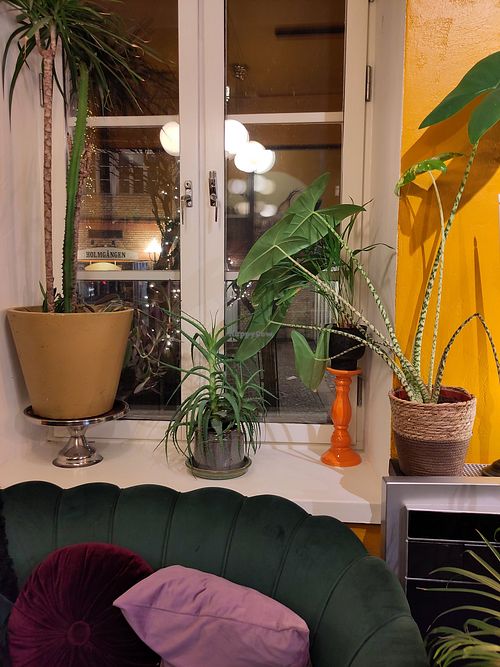 I love their indoor decorations at Nomi the Karakal in Malmo