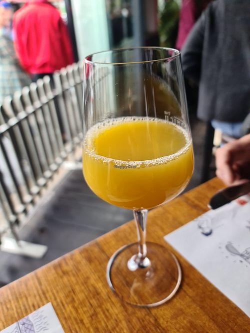 Mimosa at Cornish Arms in Brunswick