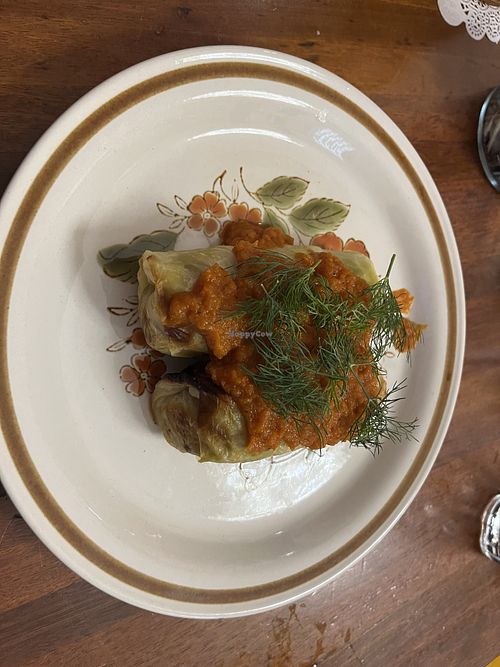   at Kyïv Social in Chippendale