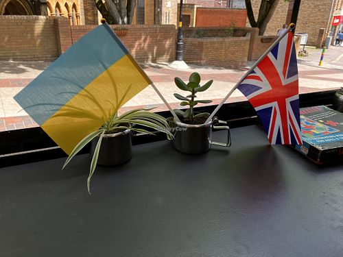 💜☮️🌈  at VeGaNuTi in Yeovil