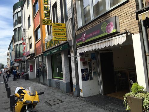 outside at Gea in Cologne