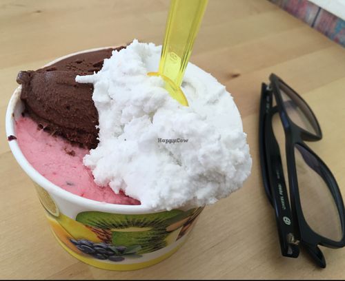 vegan ice 'cream' at Gea in Cologne