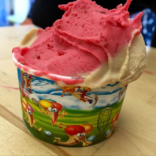 small ice cup at Gea in Cologne