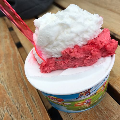 vegan ice cream at Gea in Cologne