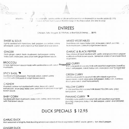 lunch menu at Ayuttaya Thai Cuisine in Ocala