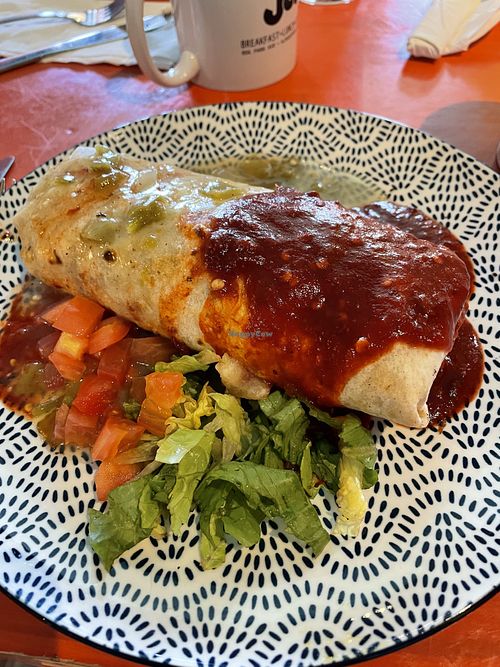 Tofu burrito  at Java Joe's in Albuquerque