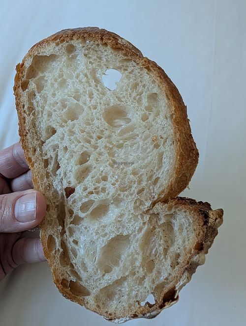 Sourdough bread. Excellent texture and chew. at Bbo Bbo Bakery - 빵집 보보 in Ulsan