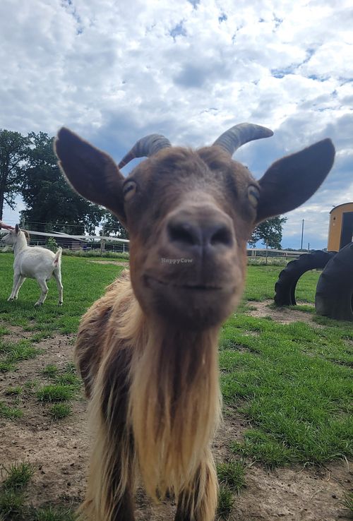  at Lebenshof Tierisches Glück in Oelde