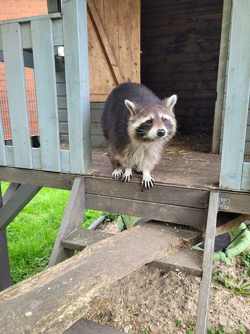  at Lebenshof Tierisches Glück in Oelde