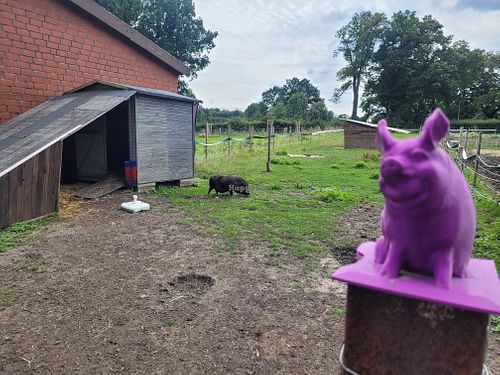  at Lebenshof Tierisches Glück in Oelde