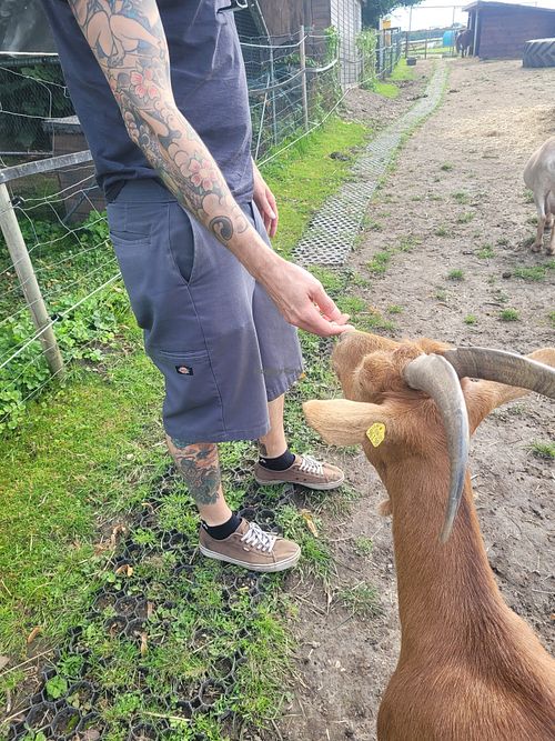  at Lebenshof Tierisches Glück in Oelde