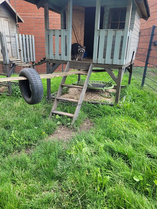  at Lebenshof Tierisches Glück in Oelde