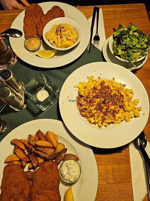   at The Highlander in Vienna