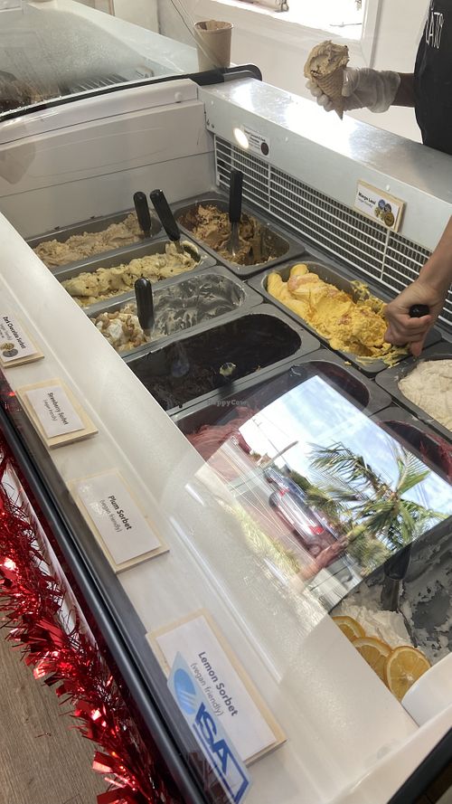 Freezer full of vegan deliciousness  at Little Lato - Pop-up in Waipu