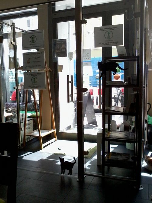 Inside the temple at Katzentempel - München in Munich