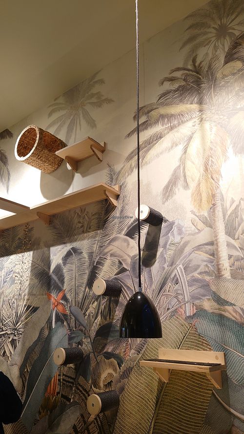  at Katzentempel - München in Munich