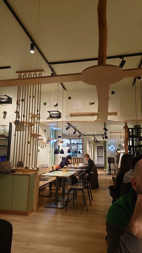  at Katzentempel - München in Munich