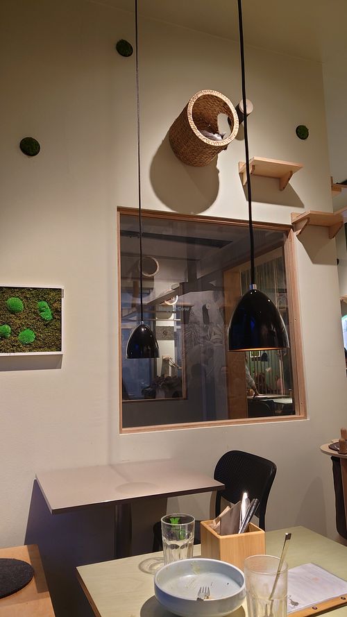  at Katzentempel - München in Munich