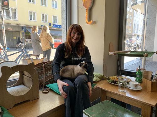 it can be difficult to eat, but this place is definitely worth going at Katzentempel - München in Munich