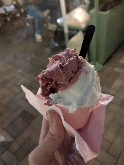  at Anita La Mamma del Gelato in Aventura