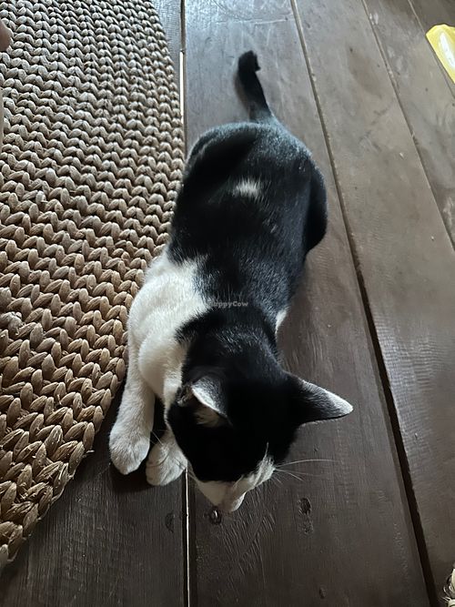  at Banteay Srey Women's Only Traditional Spa and Homestay in Kampot