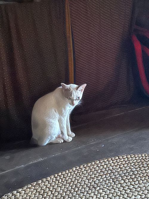  at Banteay Srey Women's Only Traditional Spa and Homestay in Kampot